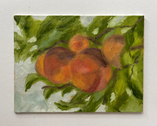 Peach tree study