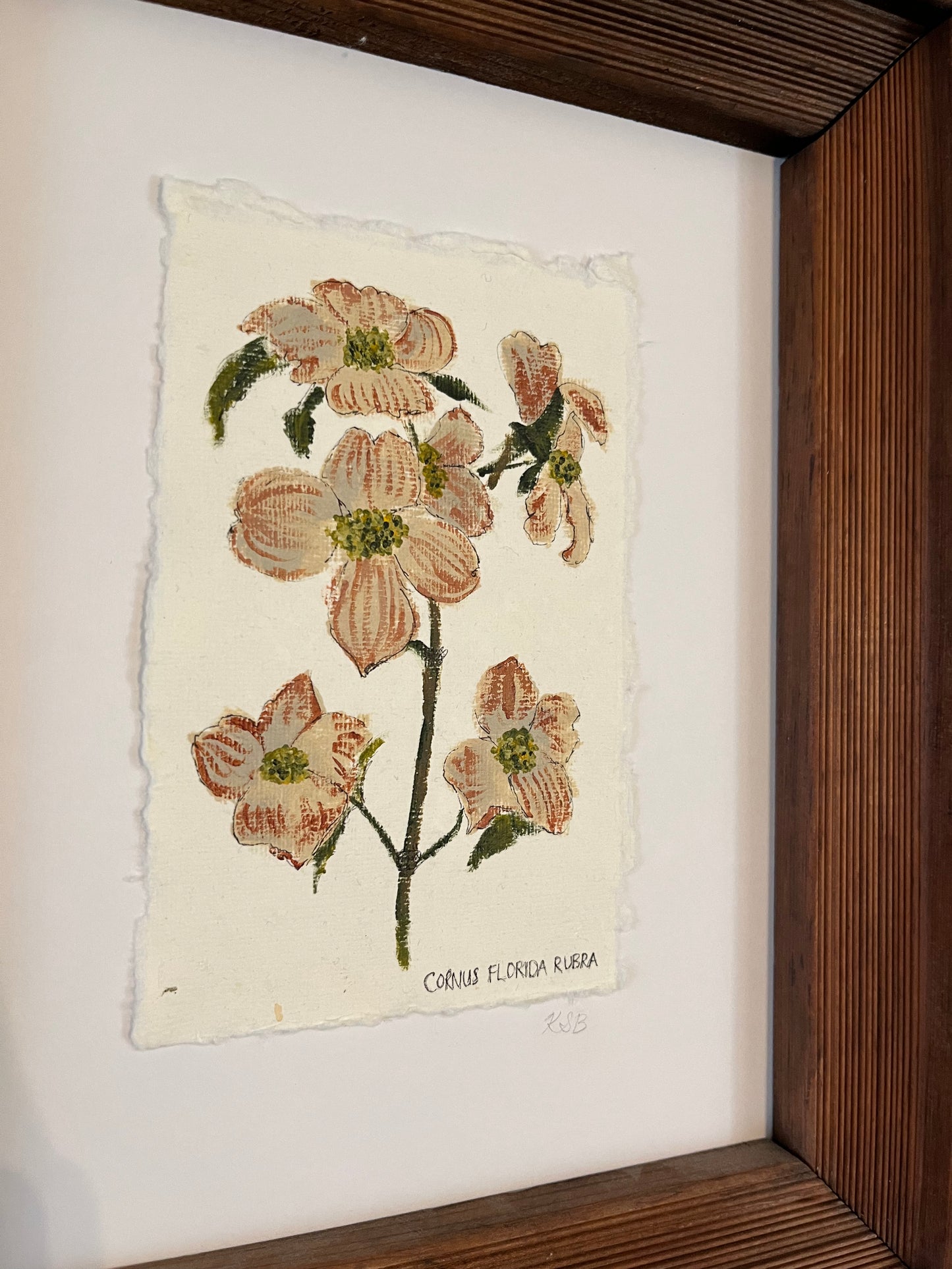 Dogwood painting