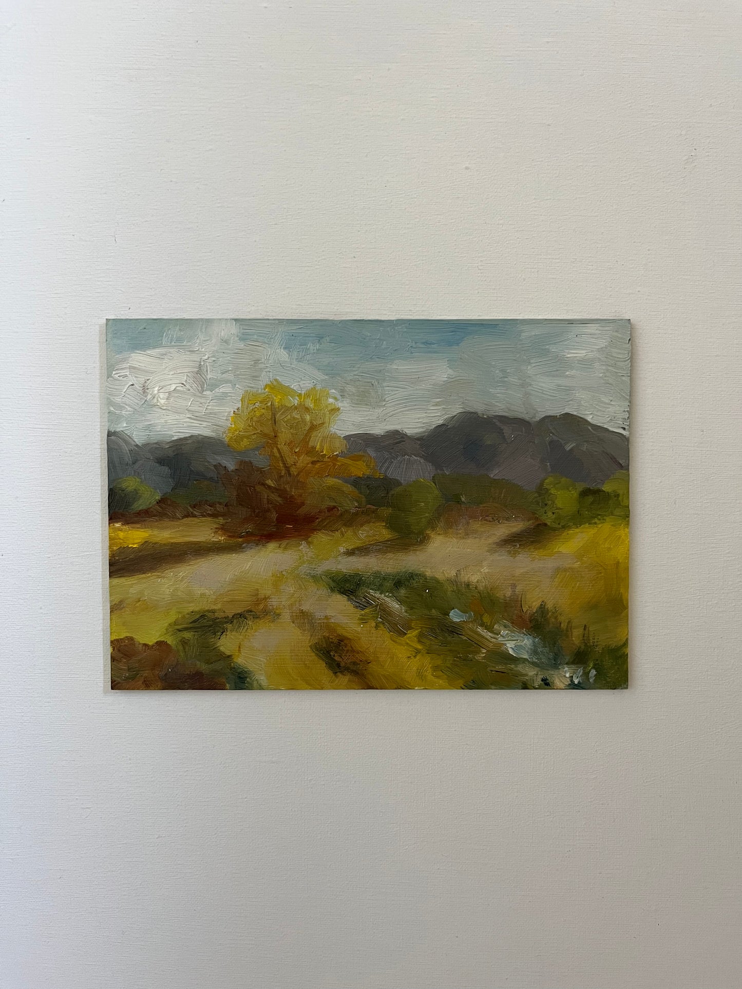 Fall study